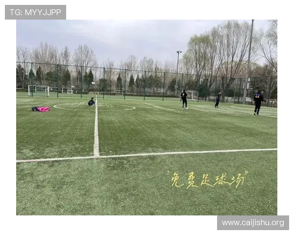 南宫体育公园周边交通指南及最佳出行时间推荐助您高效到达